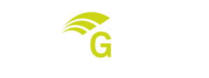 PentaG-RAN logo