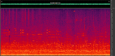 Figure showing Spectrograms of two different traffic noise samples