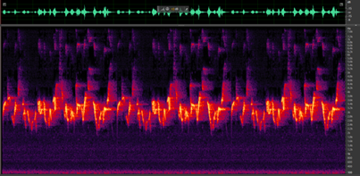 Figure showing Spectrograms of birds chirp